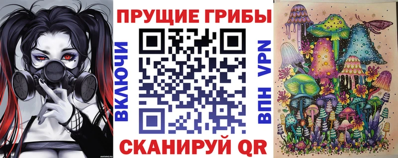 Псилоцибиновые грибы прущие грибы  купить закладку  OMG ссылка  Протвино 